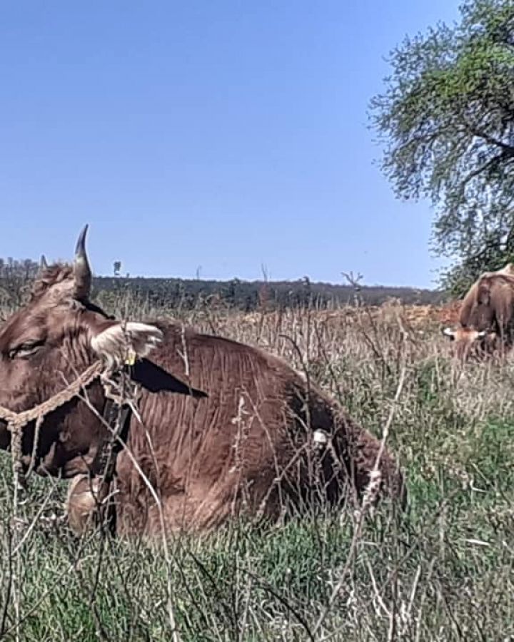 Regős Bendegúz Program - avagy Indul a bakterház-hét kamaszoknak