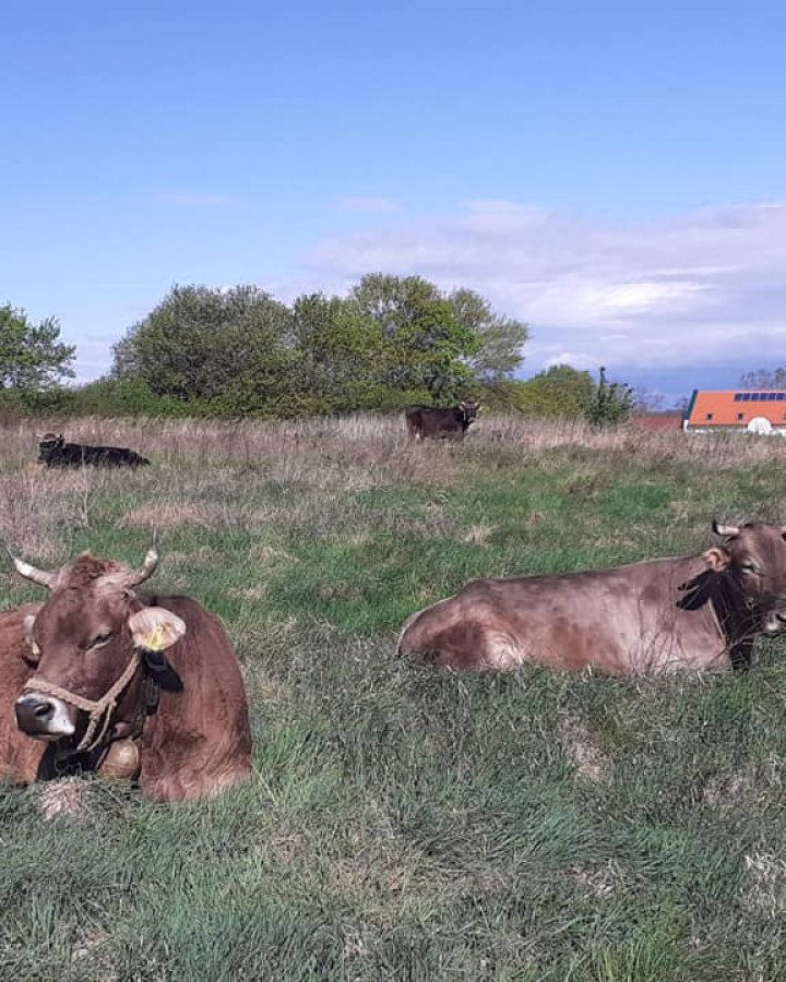 Regős Bendegúz Program - avagy Indul a bakterház-hét kamaszoknak