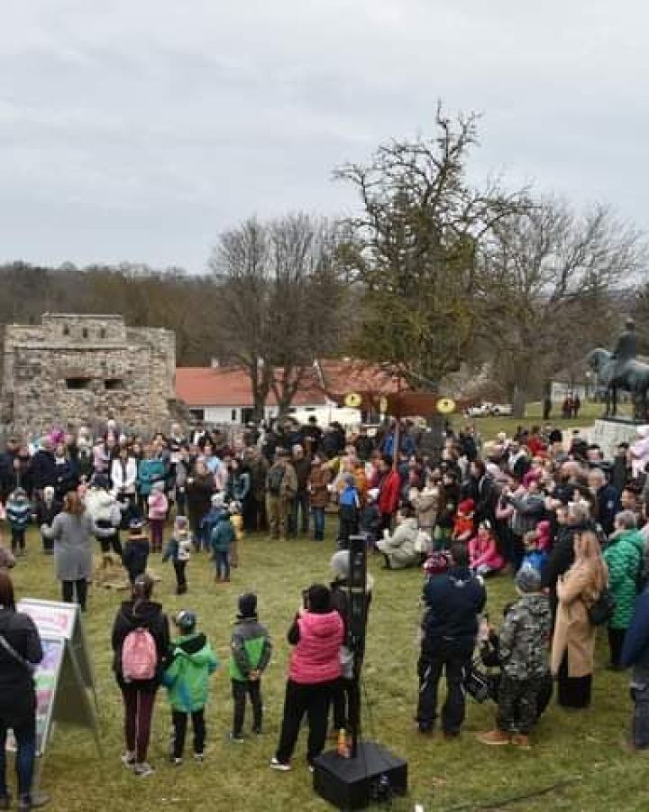 Alapítványunk a nagyvázsonyi lovas farsangon jubilált