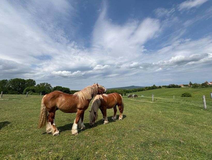 Páratlan környezetben