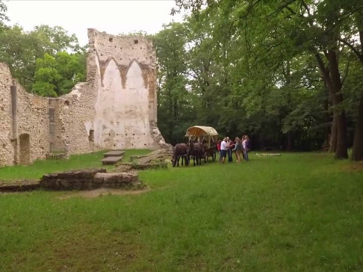 Fogatos erdei titok-túra