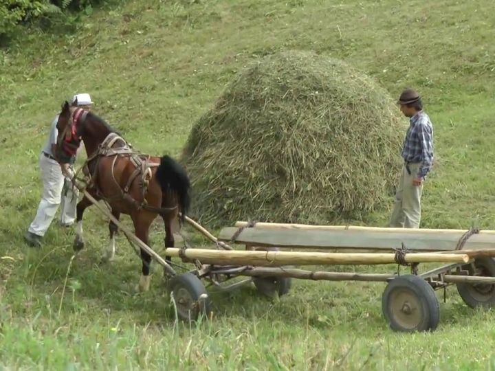 Szénabehordás a Gyimesben