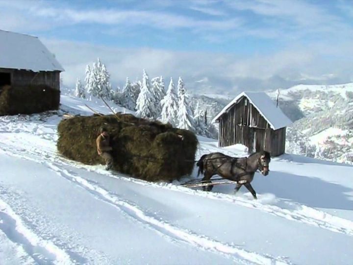 Téli szénabehordás a Gyimesben